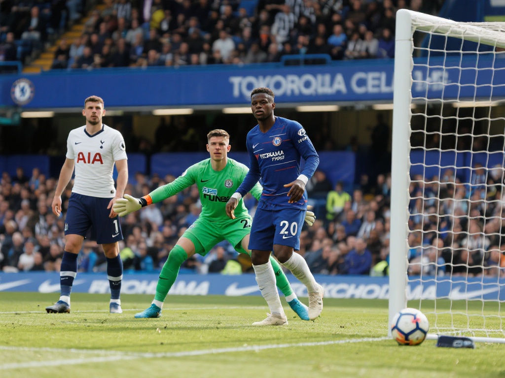 夏窗转会的 夏窗转会的