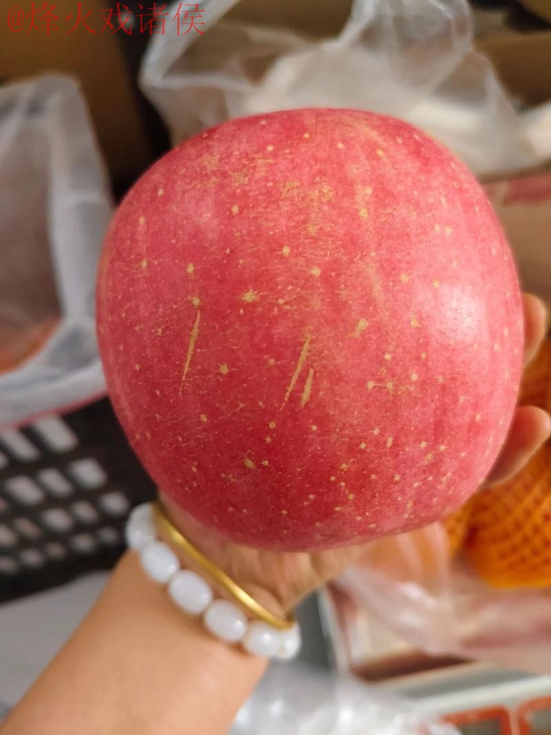 2026世界杯盘口苹果热门 2026世界杯盘口苹果热门